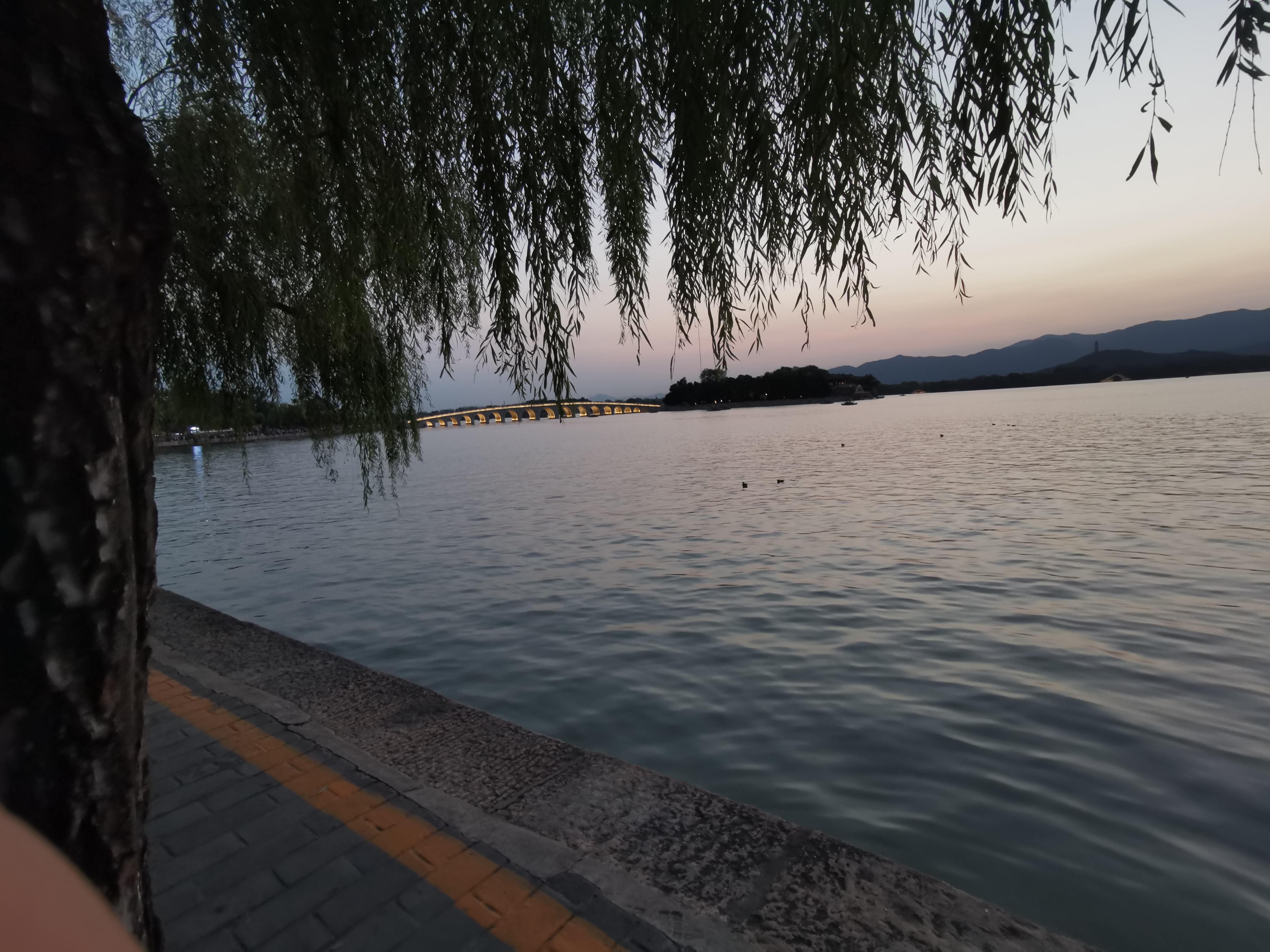 请输入图片描述