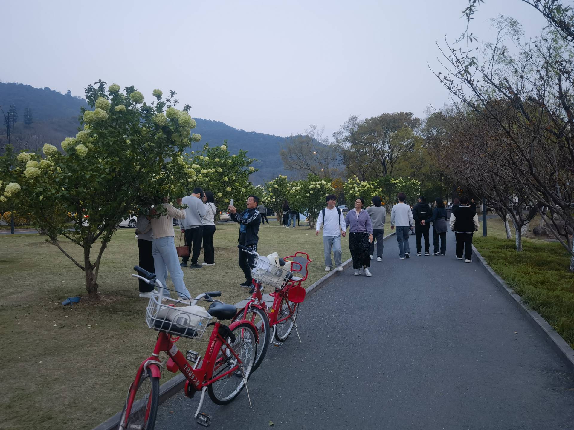 请输入图片描述